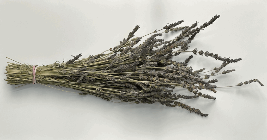 a dried lavender bundle from moment lavender on a white background