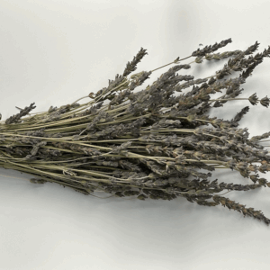 a dried lavender bundle from moment lavender on a white background